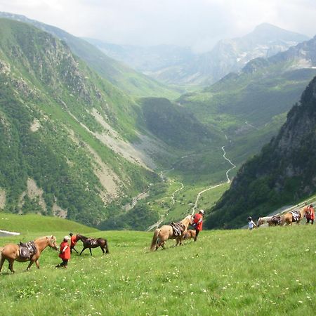 Agriturismo Bio-Ecologico Sant'Isidoro Roccaforte Mondovi Bagian luar foto