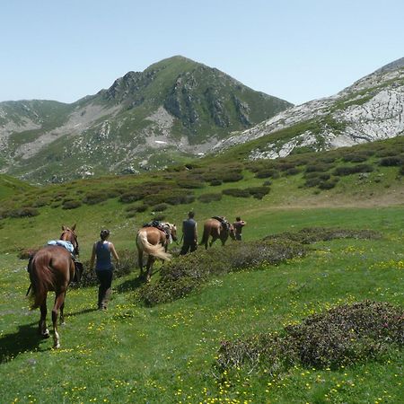 Agriturismo Bio-Ecologico Sant'Isidoro Roccaforte Mondovi Bagian luar foto