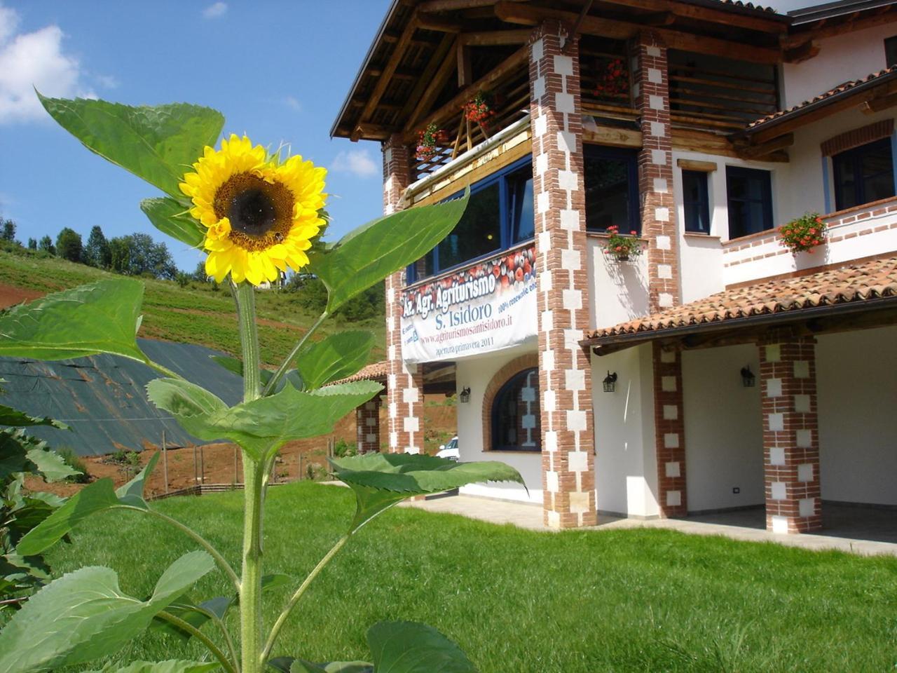 Agriturismo Bio-Ecologico Sant'Isidoro Roccaforte Mondovi Bagian luar foto