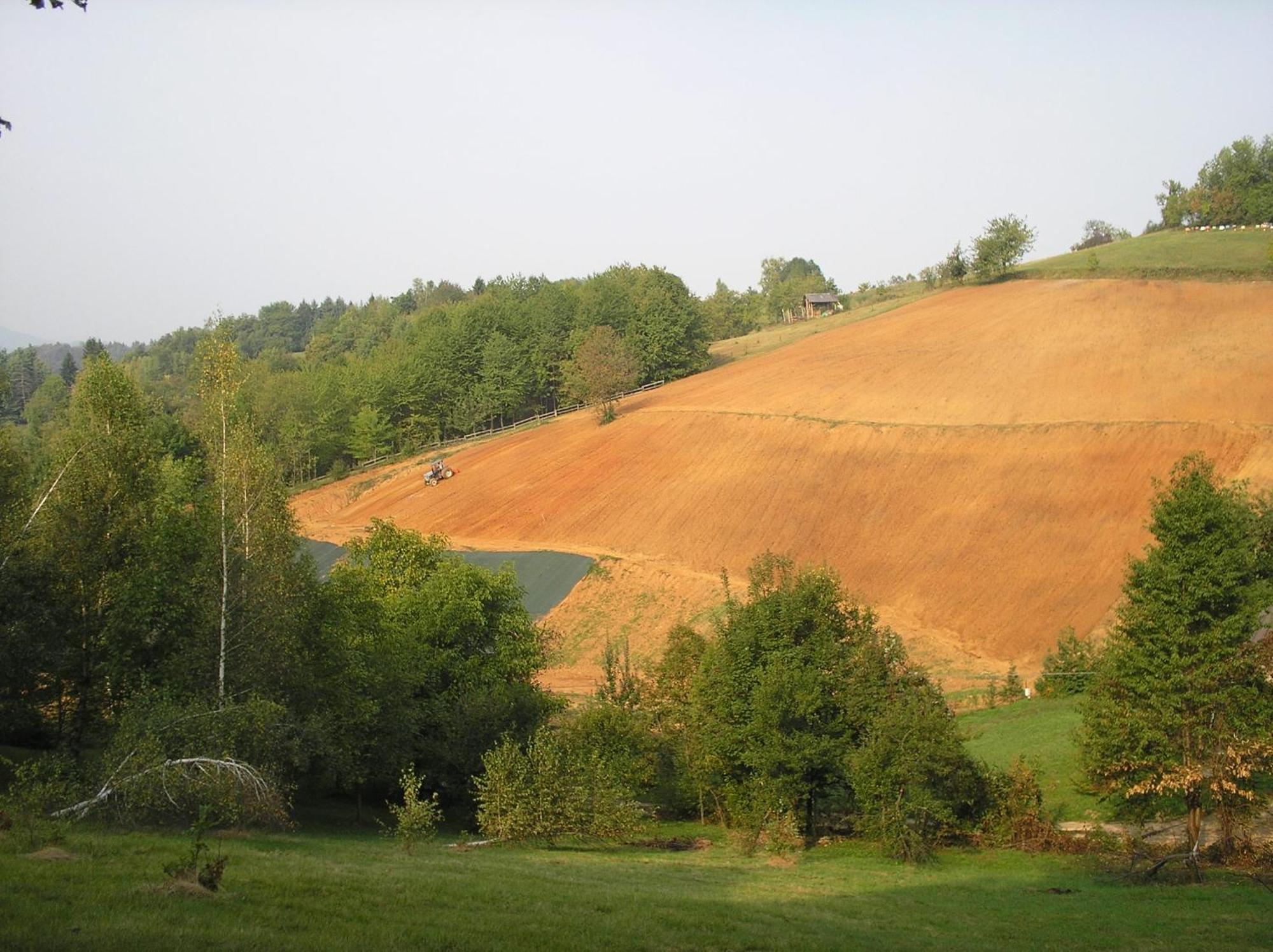 Agriturismo Bio-Ecologico Sant'Isidoro Roccaforte Mondovi Bagian luar foto