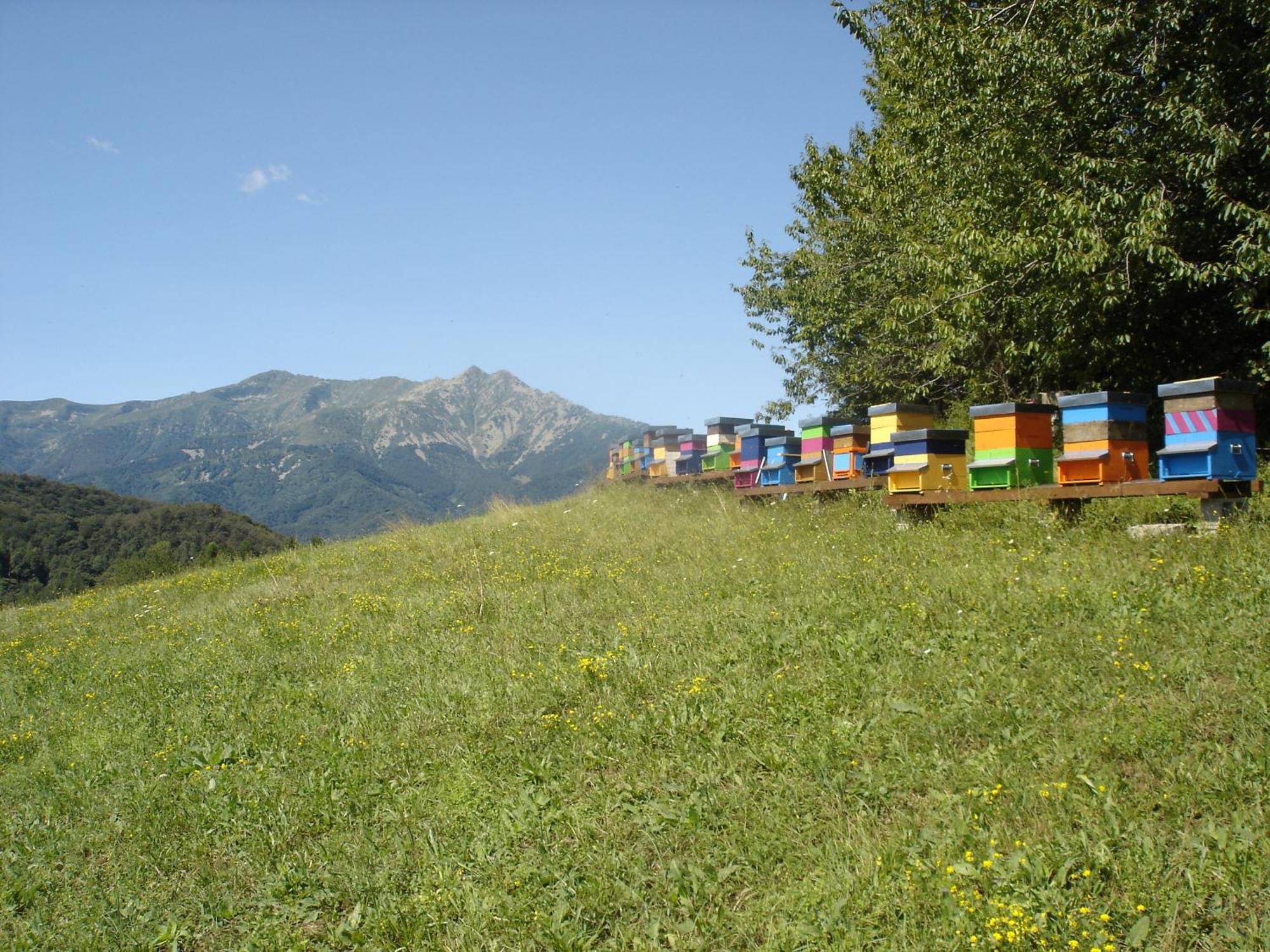Agriturismo Bio-Ecologico Sant'Isidoro Roccaforte Mondovi Bagian luar foto