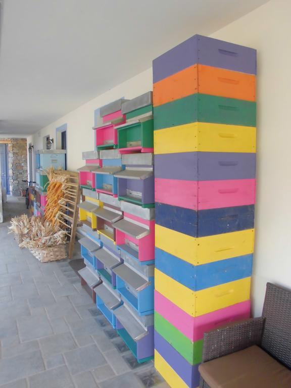Agriturismo Bio-Ecologico Sant'Isidoro Roccaforte Mondovi Bagian luar foto